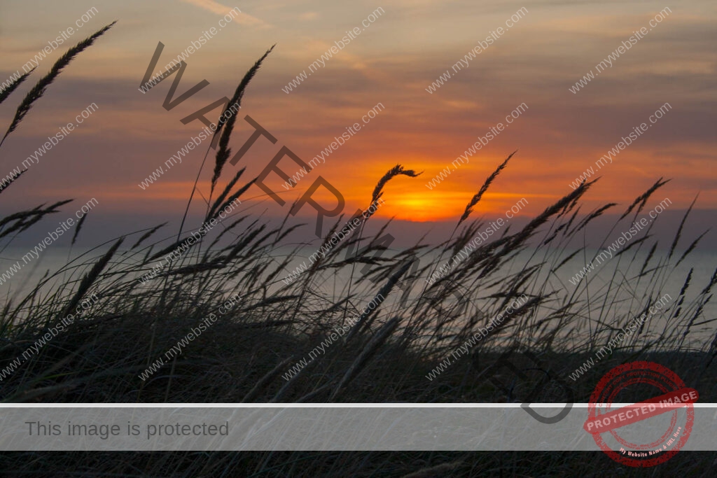 Halmen tegen avondrood