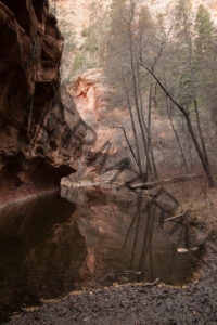 Sedona-West Fork landschap