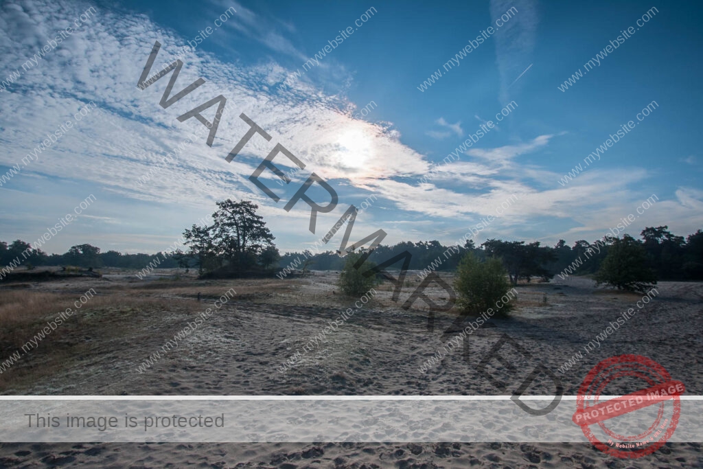 Loonse en Drunense duinen