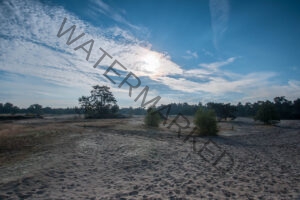 Loonse en Drunense duinen