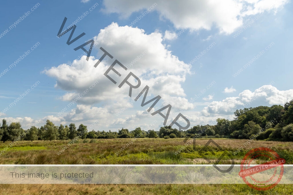 Nederlandse wolken boven de heide