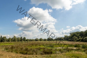 Nederlandse wolken boven de heide